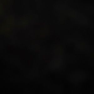 Set of two shadow box framed flower art